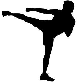 Karate Move 2