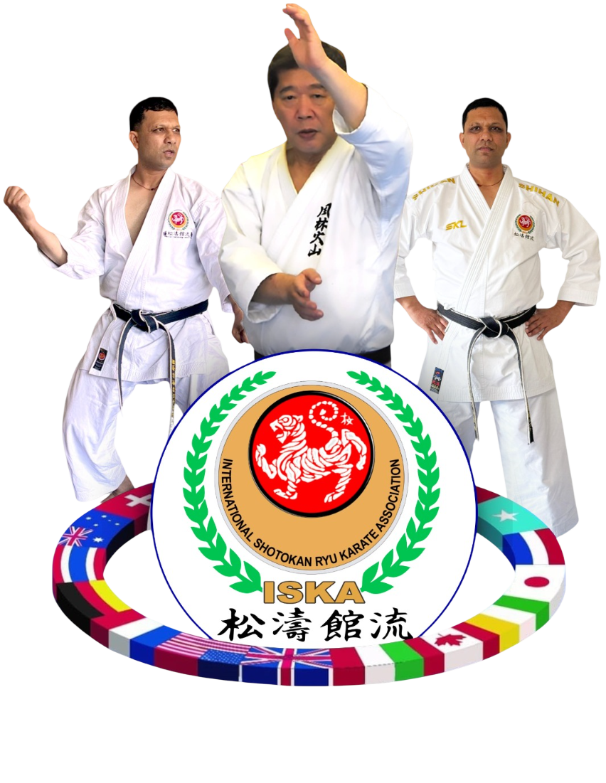空手　型全集（上）Shotokan Karate International 空手 型全集（上）Shotokan Karate International - メルカリ
